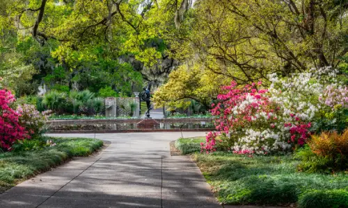 Mandolin Gardens Park
