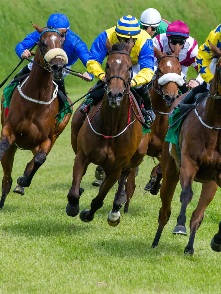 Sam Houston Race Park